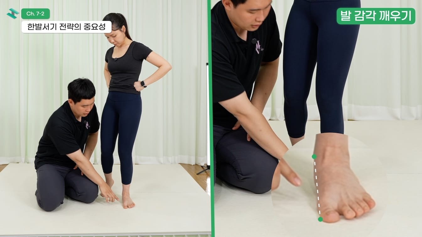 관절별 평가 및 교정운동