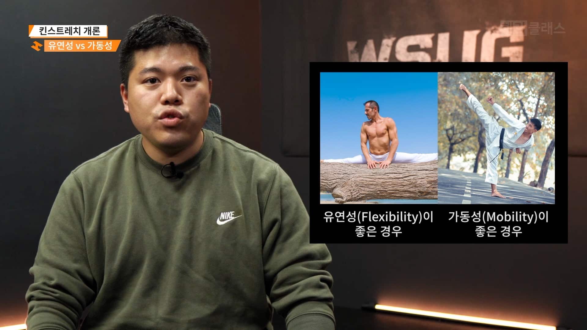 유연성 vs 가동성