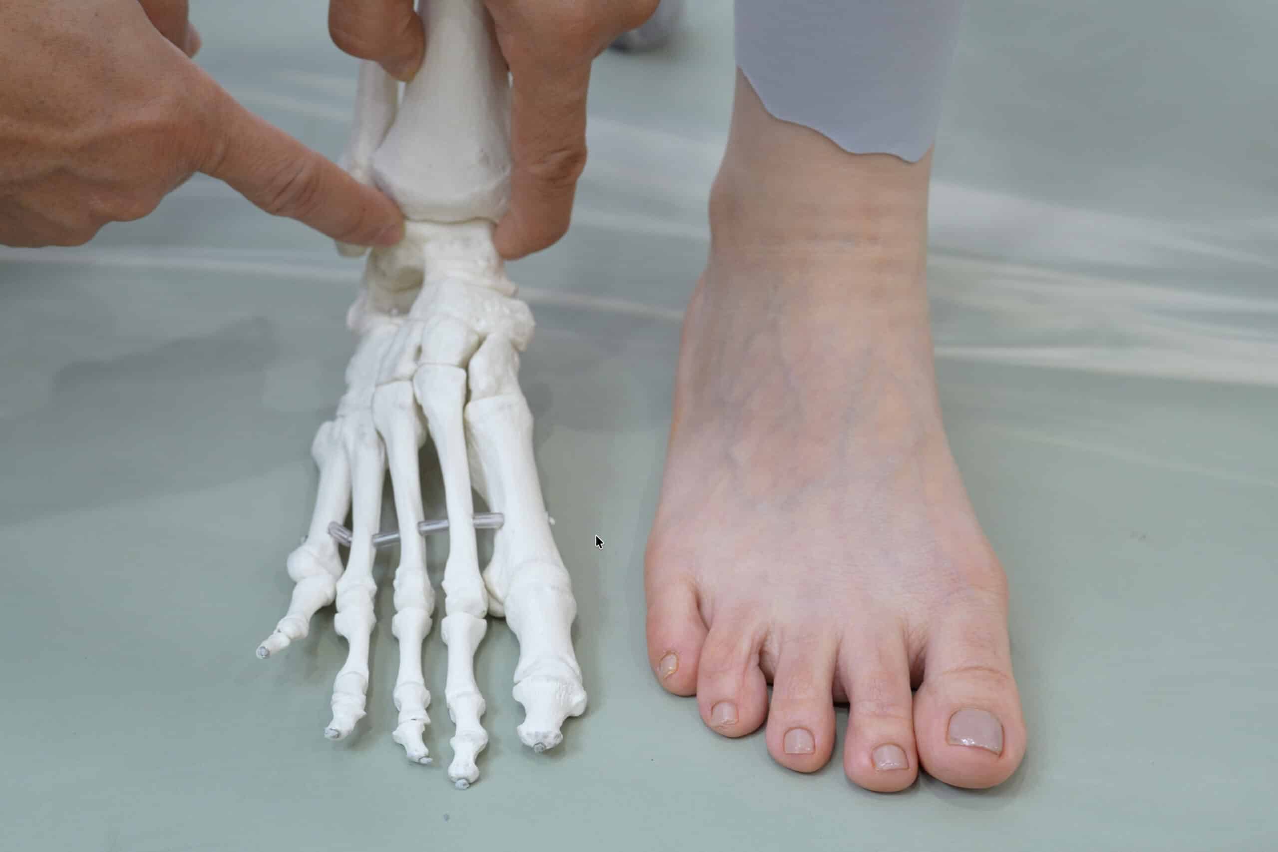 보행 메커니즘 이해하기 구성 이미지